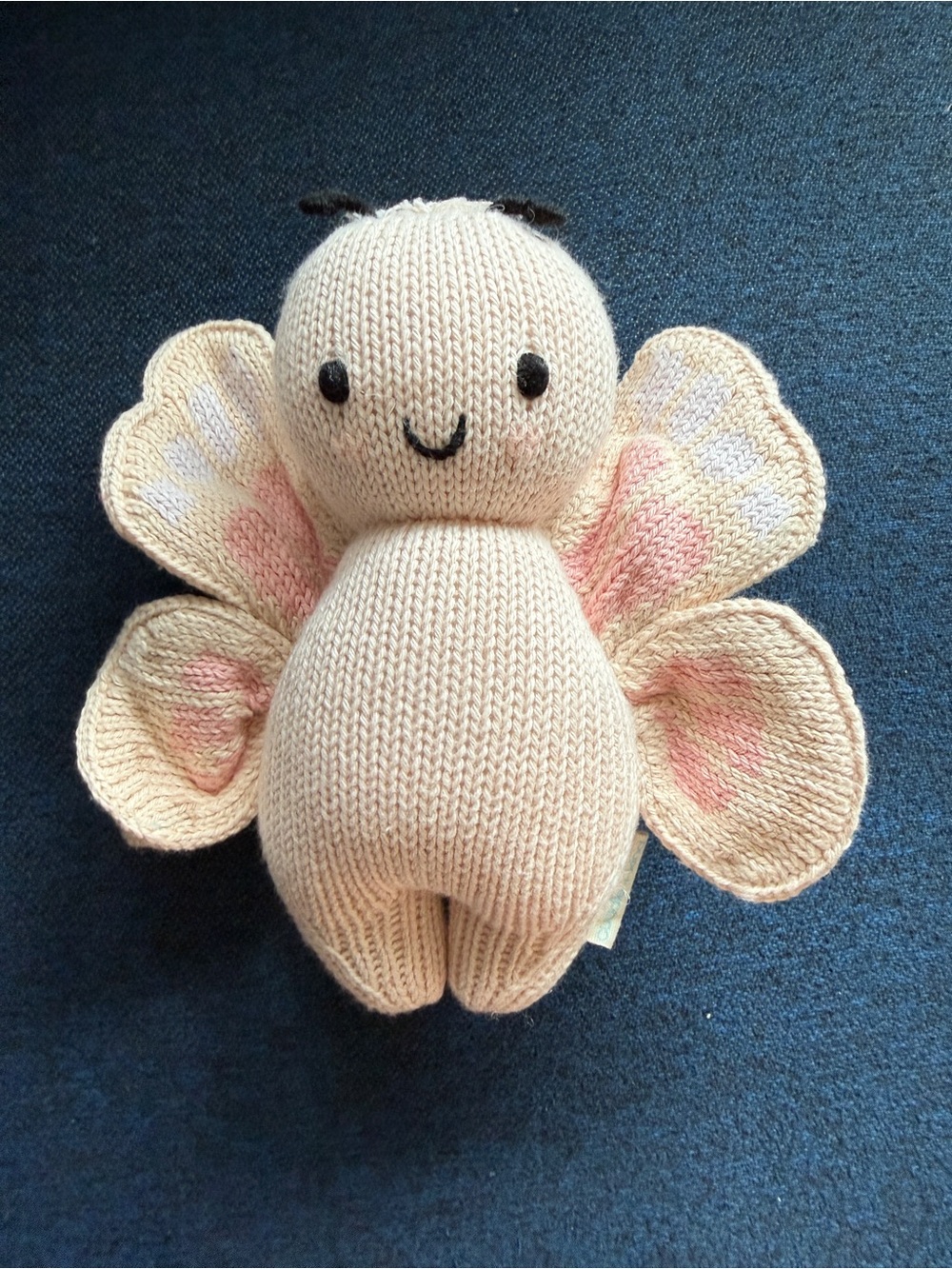 Baby Butterfly